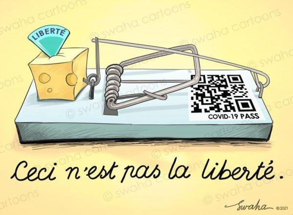Deze afbeelding heeft een leeg alt-attribuut; de bestandsnaam is afbeelding-2.png